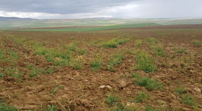 Polatlı'da Yatırım İçin Uygun Araziler