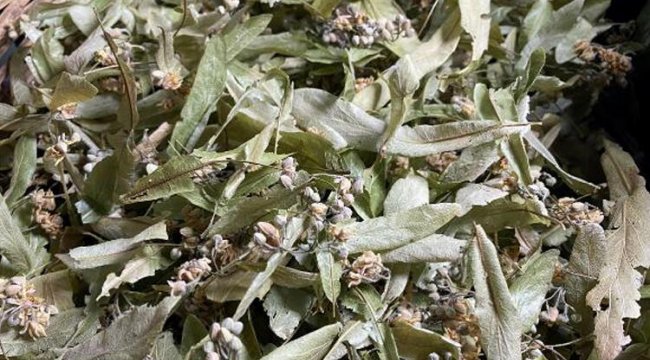 Ihlamur fiyatları uçuşa geçti
