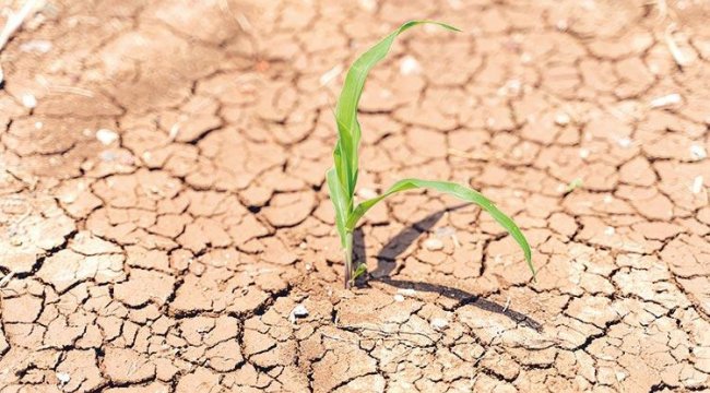 İklim değişikliği tarım sektörünü etkiliyor - TARIM - Ankara İş Dünyası
