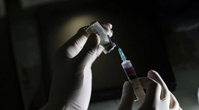Aşılama çalışmaları istihdama katkı sağladı