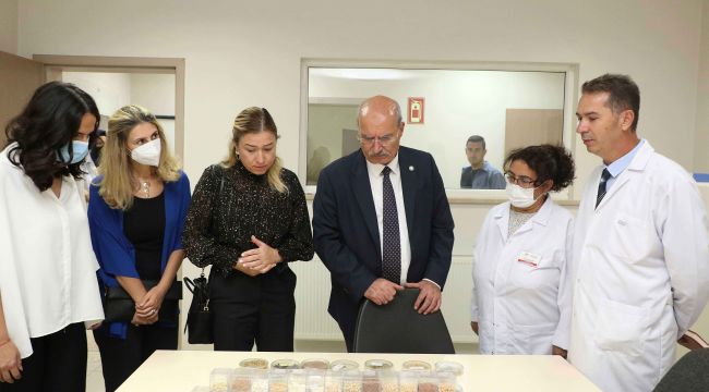 Ankara'da ata tohumunun çoğaltılması çalışmaları sürüyor