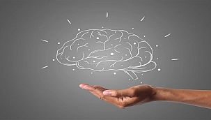 Alkol gelişmekte olan beyne zarar veriyor