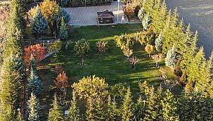 Ankara'da 200 adet ağaçların içinde satılık 3 bin m2 arsa ve ev