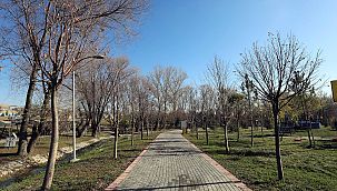 Yıllık iki buçuk milyon çiçek üretilecek