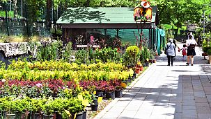 Anfa’dan özel mülklere peyzaj hizmeti