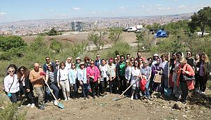 Büyükelçi eşleri Bademlidere’ye fidan dikti 