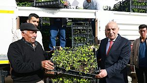 Keçiören’in köylerinde fide dağıtıldı