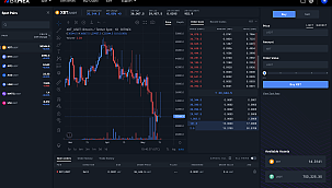 Kripto para yatırımcı içgörü raporu