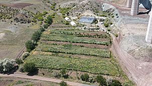 Sürdürülebilir tarım için belediyeden destek