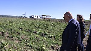 Tarımsal üretim için örnek bostan