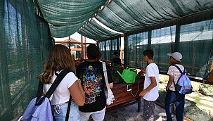 Pursaklar’ın cazibe merkezi endemik vadi'ye uluslararası ilgi