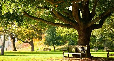 Ankara’da en sakin ilçe Güdül
