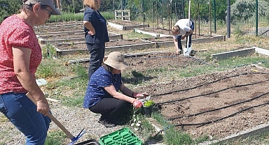 Kent tarım'da sonbahar dönemi başlıyor 