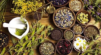 Aktarlık mesleği ulusal yeterlilik kazandı