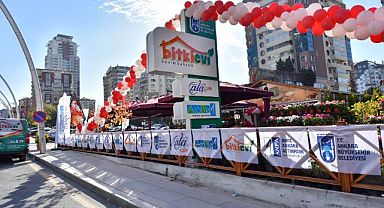 Ankara’da bitki evleri yaygınlaşıyor