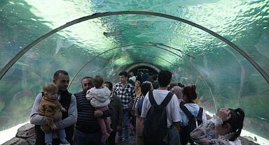 Deniz dünyası’nda meraklı bakışlar