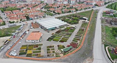 Keçiören’deki akıllı serada muz yetiştiriliyor