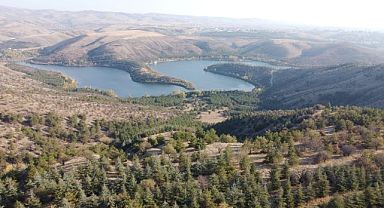 Ankara'da ormanlık alanlara girişler yasaklandı