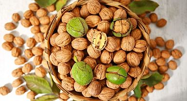 Yerli cevizde verimi artırmak için iş birliği çok önemli