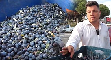 Hileli zeytinyağına dikkat. Fiyatlar hızlı bir şekilde artabilir