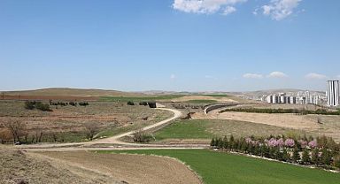 Çankaya Dodurga'da 10 bin m2 veya üstünde satılık arsa aranıyor