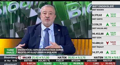 HHY Group Başkanı Hasan Hüseyin Yücel Bloomberg TV'ye konuk oldu