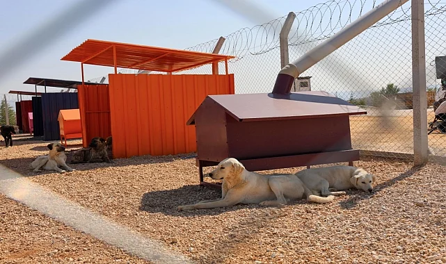 Doğal SİT'lerde hayvan bakımevleri için yeni ilke kararı!