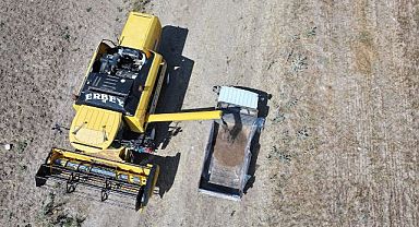 Gölbaşı’nda karabuğdayın ilk hasadı gerçekleşti