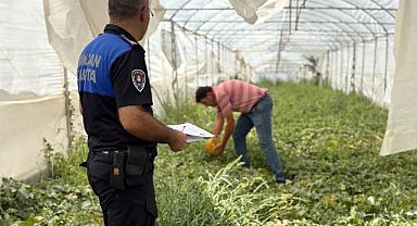 Sincan Belediyesi üretici köylü pazarları hizmette