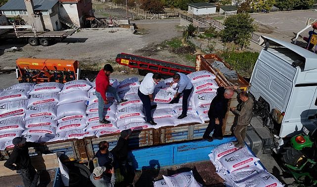 Sincan Belediyesi’nden üreticilere buğday tohumu desteği