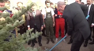 Cumhurbaşkanı Erdoğan: Her karış vatan toprağını yeşille, hayatla, umutla buluşturacağız