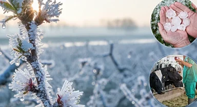 Ekim'de üreticilere 11,6 milyar TL hasar tazminatı ödendi