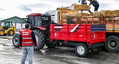 Ankara Belediyesi’nden manda yetiştiricilerine kaba yem desteği