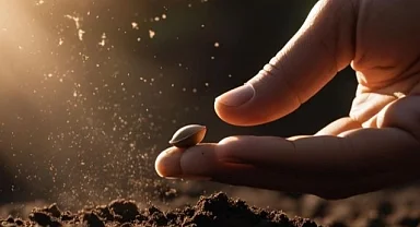 Tohumculuk sektöründeki 'Rekabet' soruşturması genişletildi