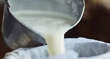 İçme sütü ve tereyağında düşüş... Ayran ve kefir üretimi arttı