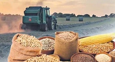 Tarım-ÜFE 2025'in son ayında da güçlü seyrini sürdürdü