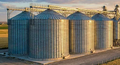 TMO'dan piyasaya müdahale! Şubat'ta 3,9 milyon ton hububat satışta