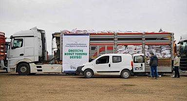 Ankaralı üreticiye 1 milyon 500 bin kilogram nohut tohumu desteği