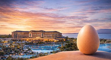 Yumurta zirvesi için geri sayım başladı