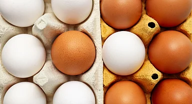 Yumurtanın doğrudan arzında limit artışı... Resmi Gazete'de yayımlandı