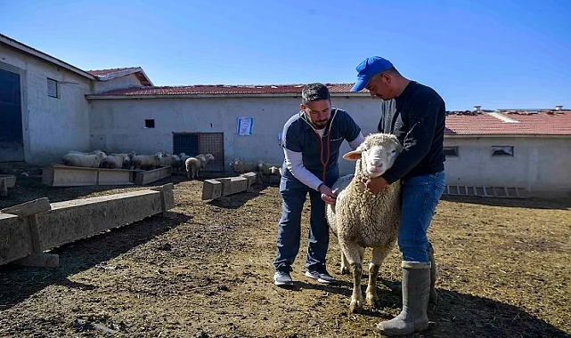 ABB'den kırsala veterinerlik hizmeti