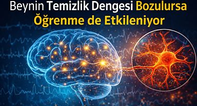 Beynin temizlik dengesi bozulursa öğrenme de etkileniyor