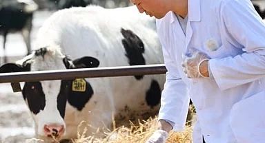 Tarımsal en yüksek girdi veteriner harcamaları zirvedeki yerini koruyor