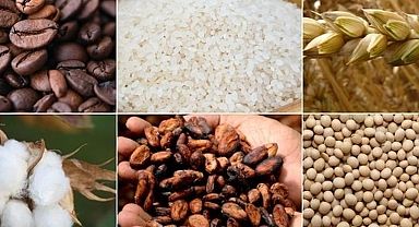 Emtia piyasasında barış rallisi