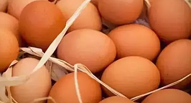 Yumurta fiyatları tekrar yükselmeye başladı